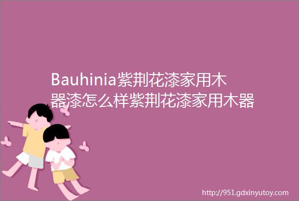 Bauhinia紫荆花漆家用木器漆怎么样紫荆花漆家用木器