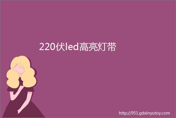 220伏led高亮灯带