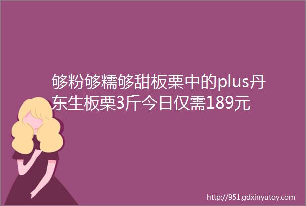 够粉够糯够甜板栗中的plus丹东生板栗3斤今日仅需189元