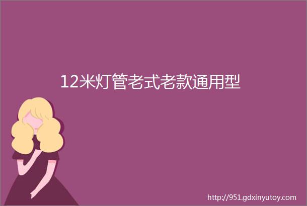 12米灯管老式老款通用型