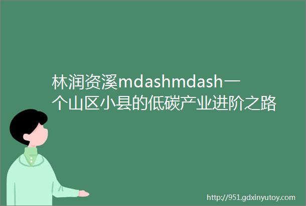 林润资溪mdashmdash一个山区小县的低碳产业进阶之路