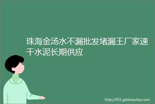 珠海金汤水不漏批发堵漏王厂家速干水泥长期供应