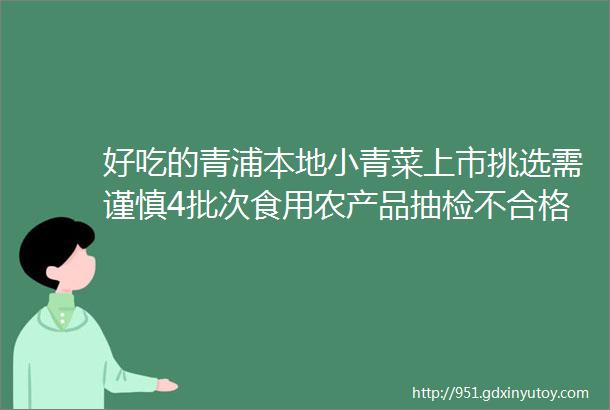 好吃的青浦本地小青菜上市挑选需谨慎4批次食用农产品抽检不合格