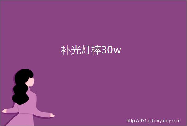 补光灯棒30w