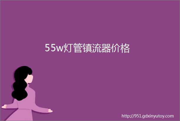 55w灯管镇流器价格