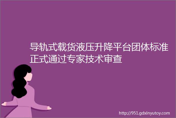 导轨式载货液压升降平台团体标准正式通过专家技术审查