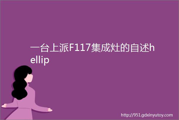 一台上派F117集成灶的自述hellip