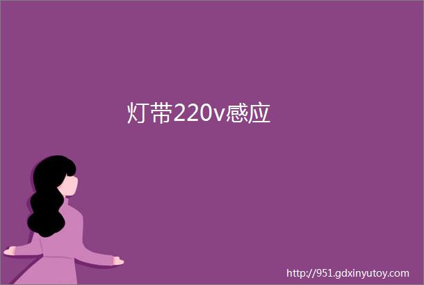 灯带220v感应