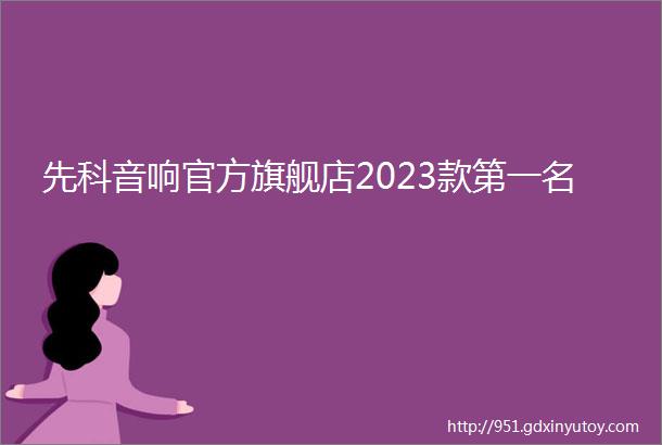 先科音响官方旗舰店2023款第一名