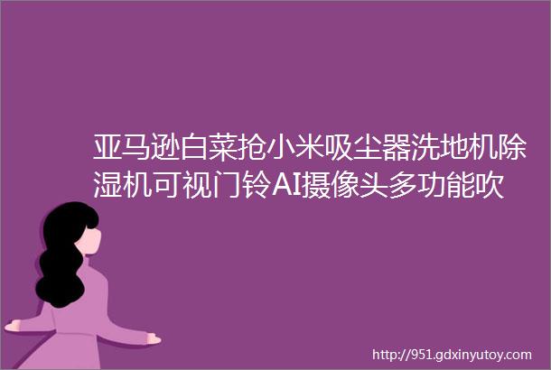 亚马逊白菜抢小米吸尘器洗地机除湿机可视门铃AI摄像头多功能吹风