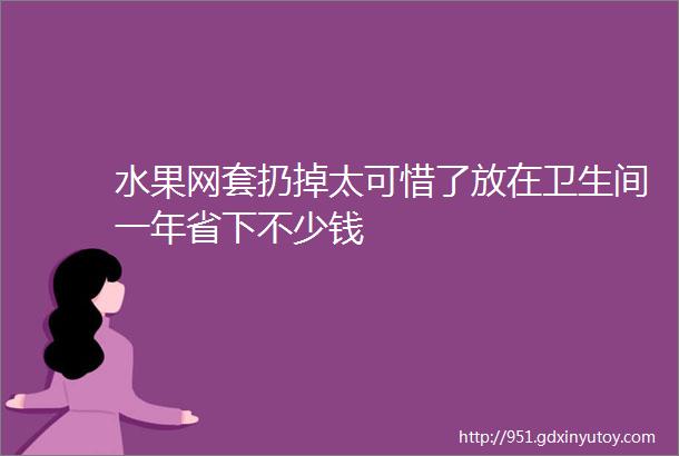 水果网套扔掉太可惜了放在卫生间一年省下不少钱