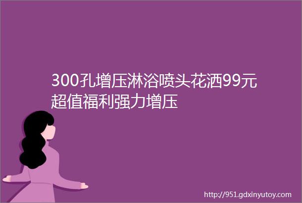 300孔增压淋浴喷头花洒99元超值福利强力增压