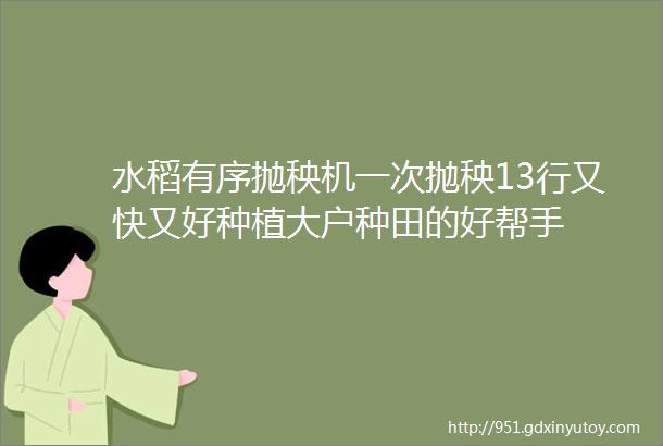 水稻有序抛秧机一次抛秧13行又快又好种植大户种田的好帮手