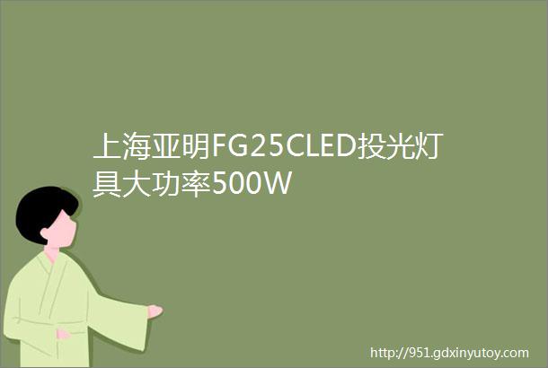 上海亚明FG25CLED投光灯具大功率500W