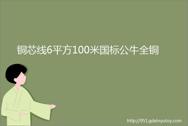 铜芯线6平方100米国标公牛全铜