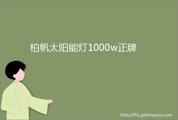 柏帆太阳能灯1000w正牌