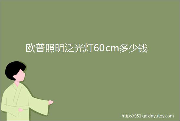 欧普照明泛光灯60cm多少钱