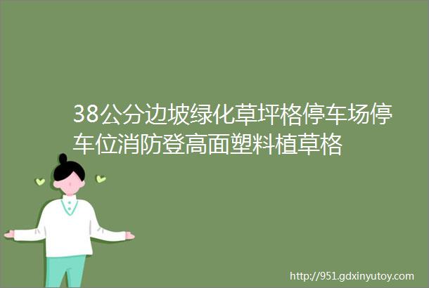 38公分边坡绿化草坪格停车场停车位消防登高面塑料植草格