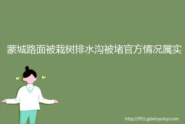 蒙城路面被栽树排水沟被堵官方情况属实