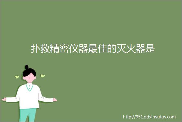 扑救精密仪器最佳的灭火器是