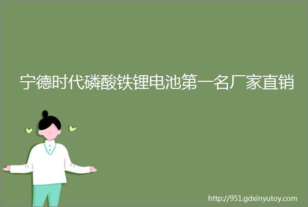 宁德时代磷酸铁锂电池第一名厂家直销