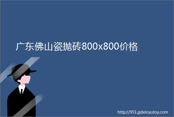 广东佛山瓷抛砖800x800价格