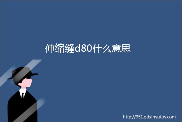 伸缩缝d80什么意思