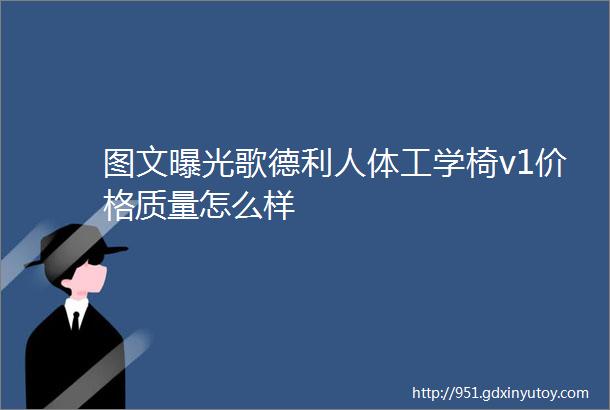 图文曝光歌德利人体工学椅v1价格质量怎么样