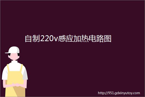 自制220v感应加热电路图