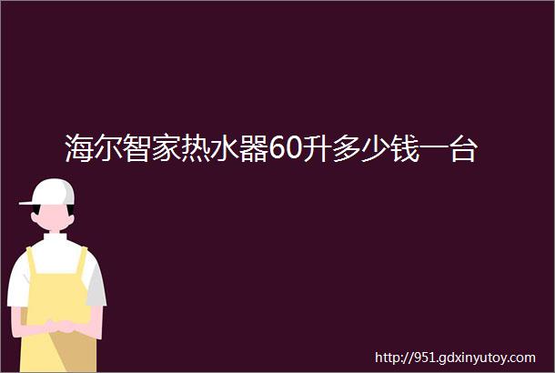 海尔智家热水器60升多少钱一台