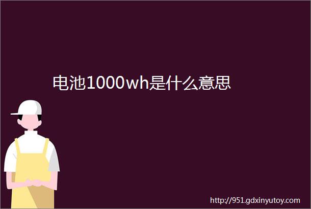 电池1000wh是什么意思