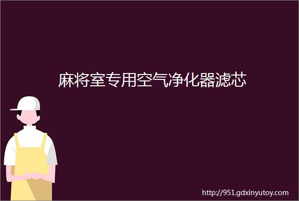 麻将室专用空气净化器滤芯