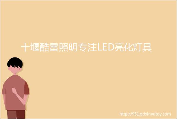 十堰酷雷照明专注LED亮化灯具