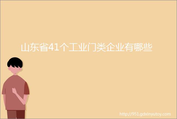 山东省41个工业门类企业有哪些