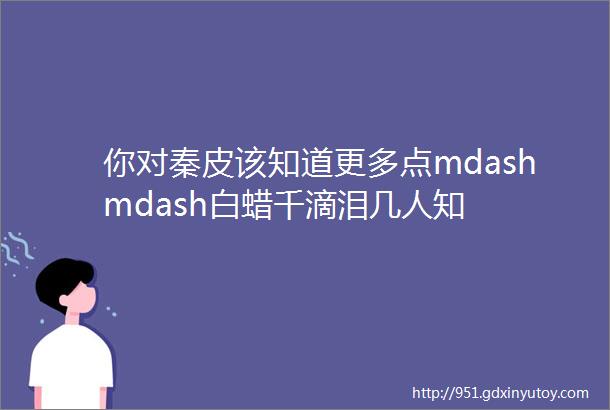 你对秦皮该知道更多点mdashmdash白蜡千滴泪几人知