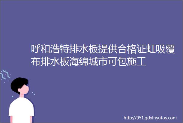 呼和浩特排水板提供合格证虹吸覆布排水板海绵城市可包施工