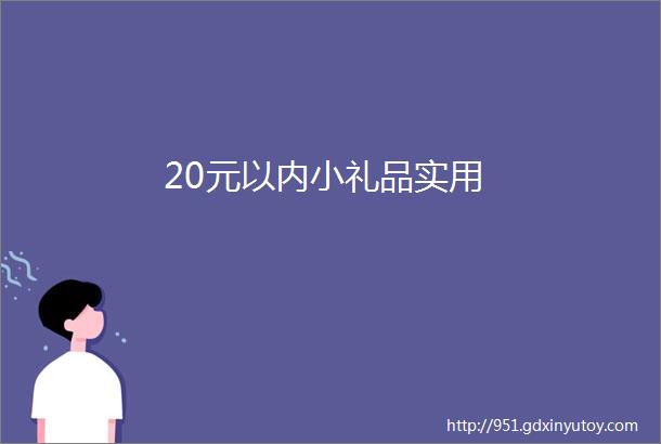 20元以内小礼品实用