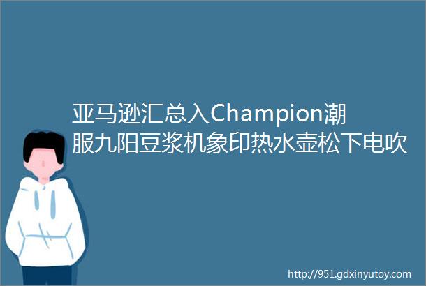 亚马逊汇总入Champion潮服九阳豆浆机象印热水壶松下电吹风