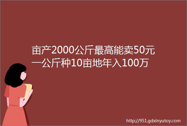 亩产2000公斤最高能卖50元一公斤种10亩地年入100万