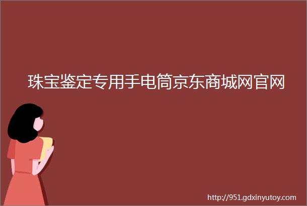 珠宝鉴定专用手电筒京东商城网官网