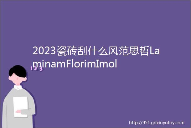 2023瓷砖刮什么风范思哲LaminamFlorimImolaIrisABKhellip18家国际品牌新品一次看完