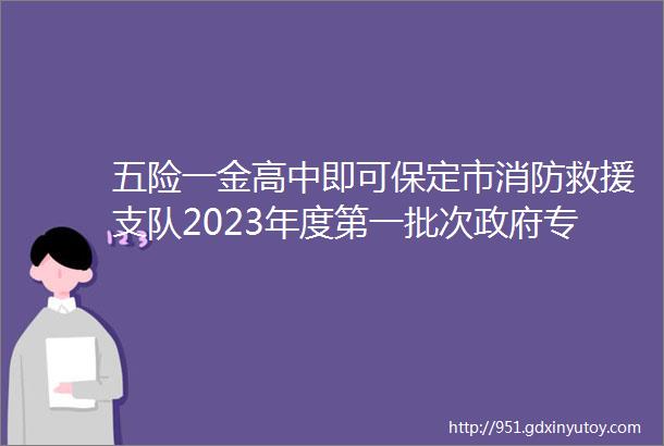 五险一金高中即可保定市消防救援支队2023年度第一批次政府专职消防员招录保定招聘网422招聘信息汇总1