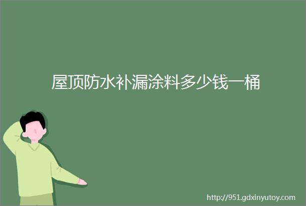 屋顶防水补漏涂料多少钱一桶