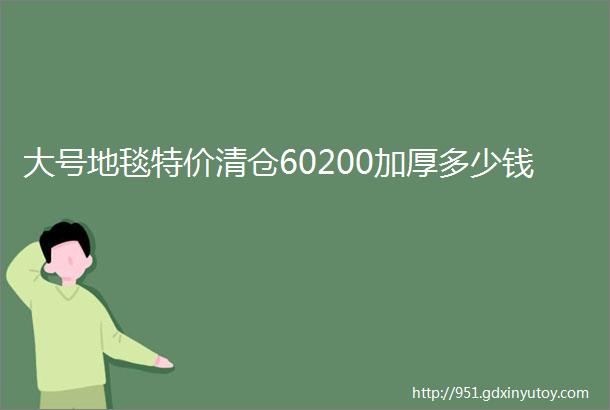 大号地毯特价清仓60200加厚多少钱