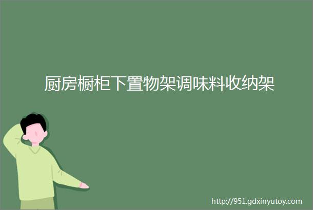 厨房橱柜下置物架调味料收纳架