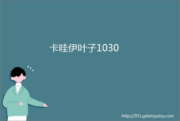 卡哇伊叶子1030