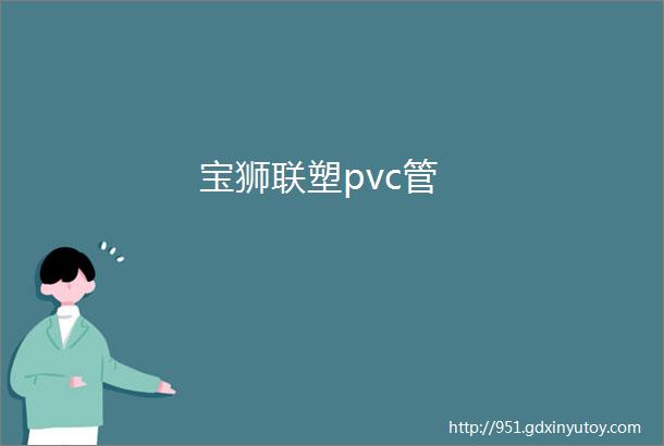 宝狮联塑pvc管