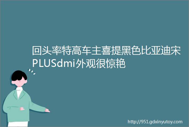 回头率特高车主喜提黑色比亚迪宋PLUSdmi外观很惊艳